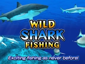 Wild Shark Fishing Image