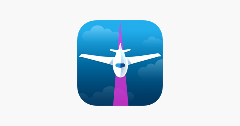 Busy Airport Image