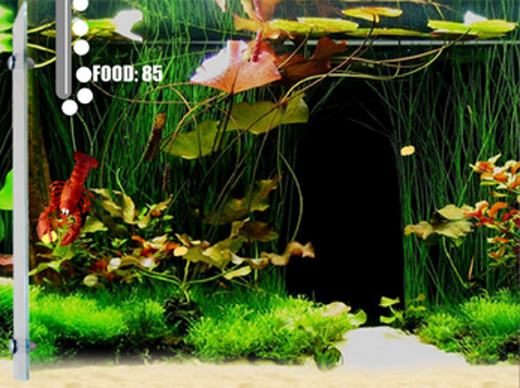 Aquarium Life Image