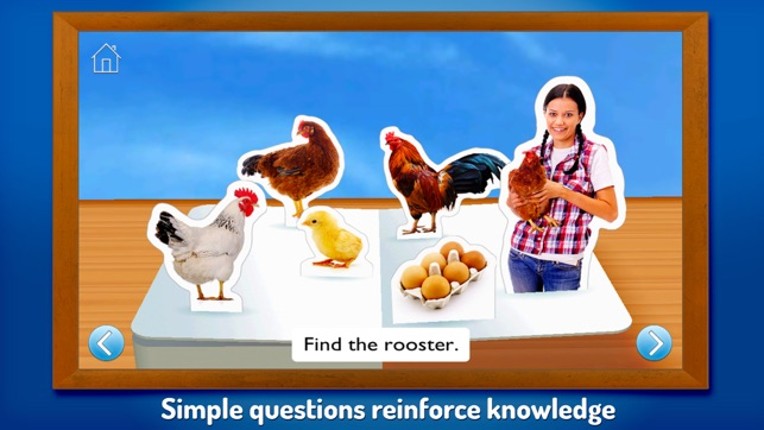 On The Farm ~ Touch, Look, Listen screenshot
