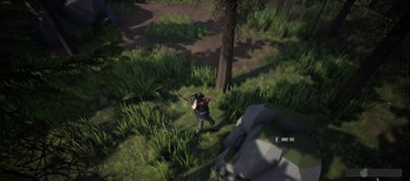 Survival in the Dead World Image