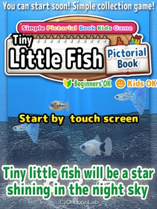 Tiny Little Fish Pictorical Book Image