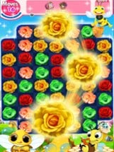 Blossom Crush Paradise Image