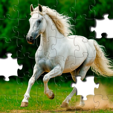 Jigsaw Puzzles - Jigsawgram Image