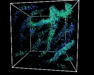 Games like 3D Boids #Exp 13