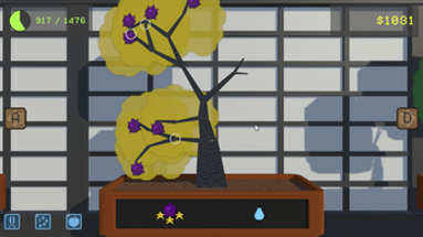 Bonsai Season Image