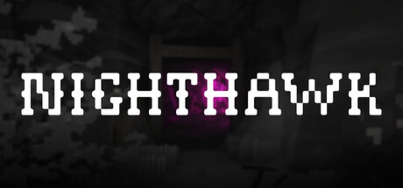 Nighthawk Image