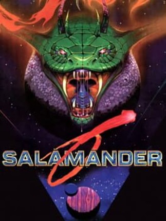 Salamander Image