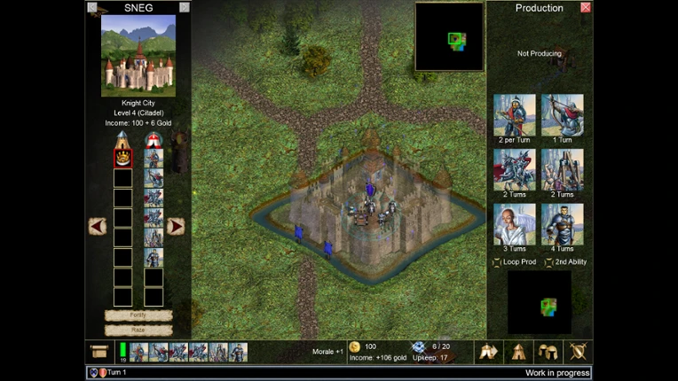 Warlords IV: Heroes of Etheria Image