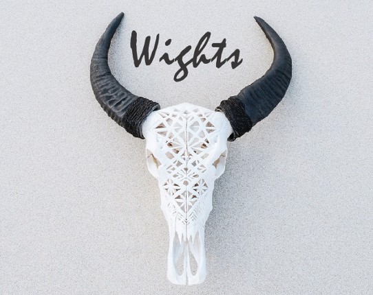 Wights Game Cover