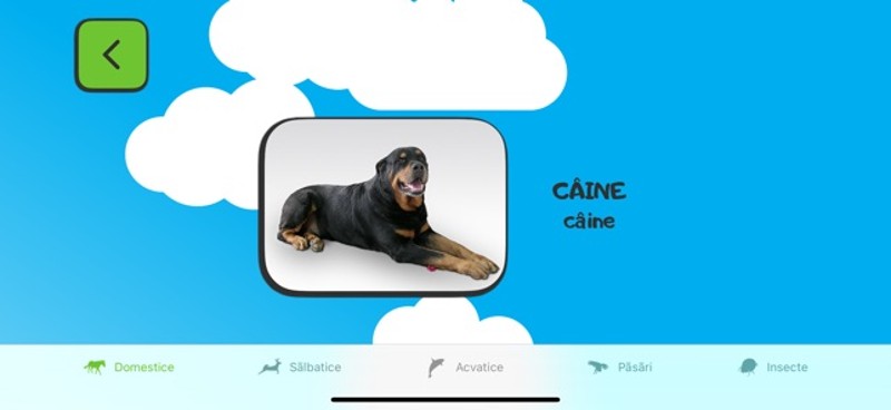 ABC for kids RO screenshot