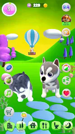 Talking Husky Dog screenshot