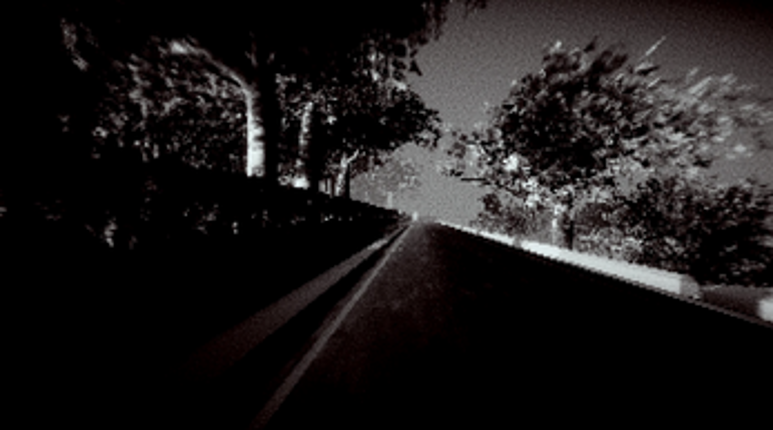 Fiddler's Wood Image