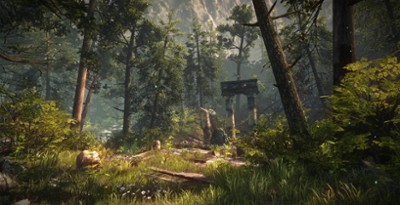 The Forest Image