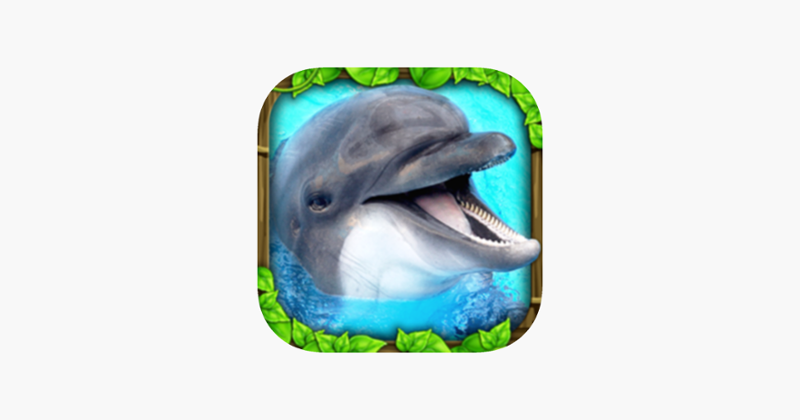 Dolphin Simulator Image