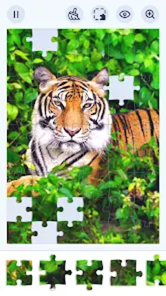 Jigsaw Puzzles - Jigsawgram Image