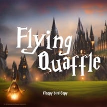 Flying Quaffle - Fan made Game Image