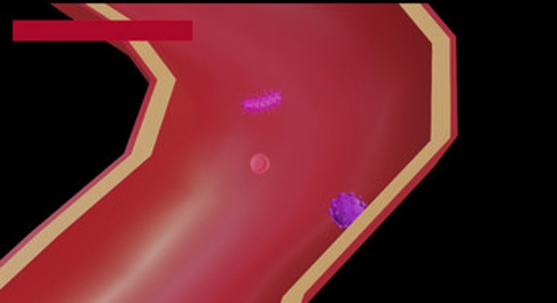 What Makes a Heart Beat screenshot