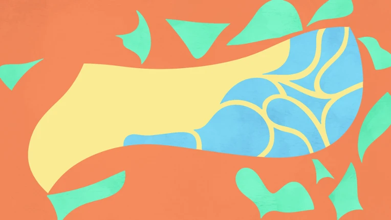 Organized Chaos Image
