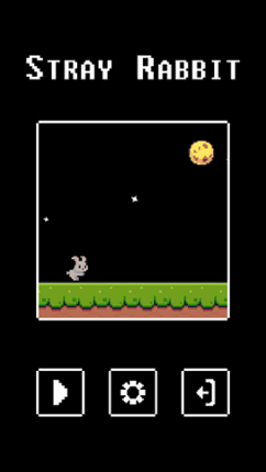 Stray Rabbit Image