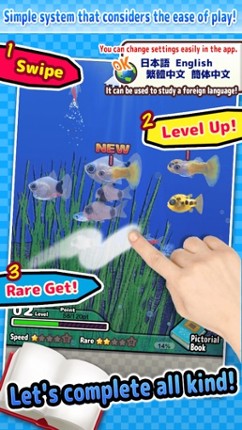 Tiny Little Fish Pictorical Book Image