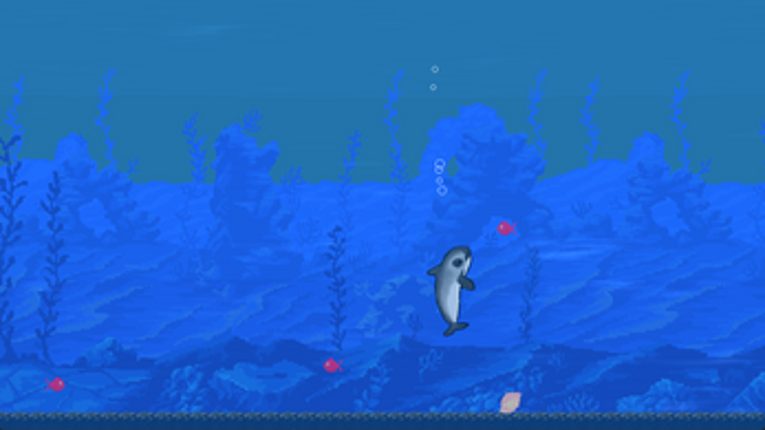 Vaquita Valiente Image