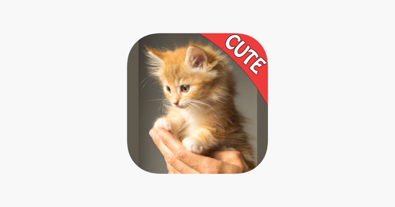 Cute Cats Memory Match Game Image