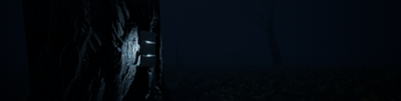 The Man In The Forest: Lost Files Image