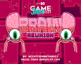 Brain Reunion Image