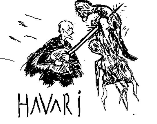 Havari Game Cover