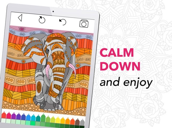 Coloring Book for Adults + Image