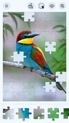 Jigsaw Puzzles - Jigsawgram screenshot
