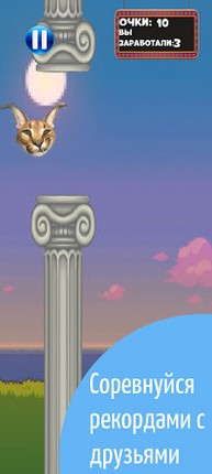 Flappy Floppa Image