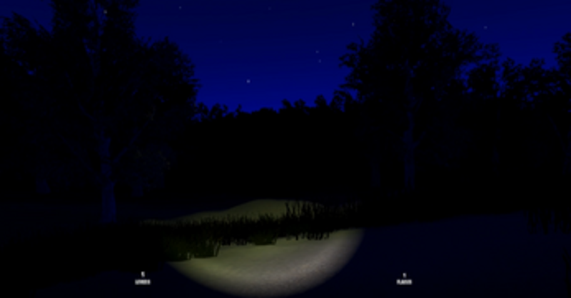 Forest Search Image