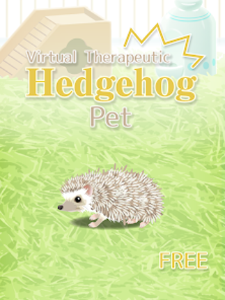 Hedgehog Pet Image