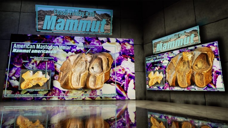 SHADOWBOX: Mausoleum of Natural History screenshot