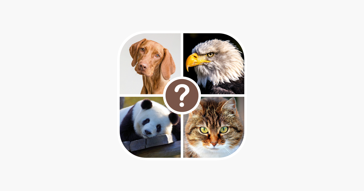 Games like Animals quiz: guess the animal