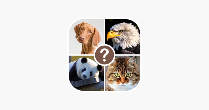 Animals quiz: guess the animal Image