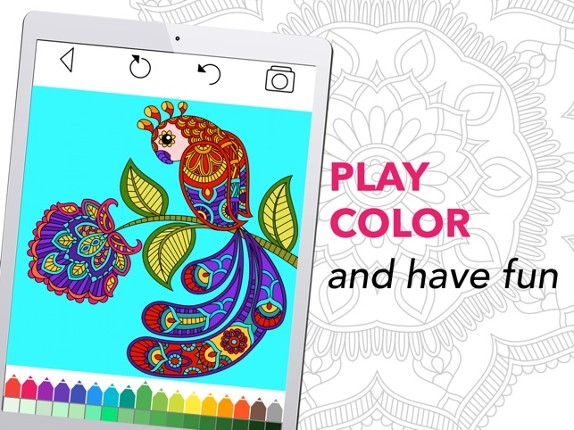 Coloring Book for Adults + screenshot