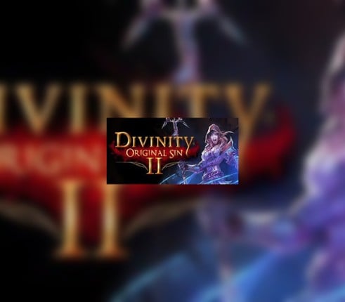 Divinity: Original Sin 2 Image