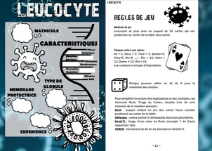 Leucocyte jdr Image