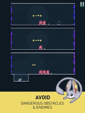 Jump Jerboa Image