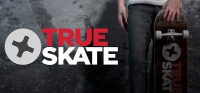 True Skate Image