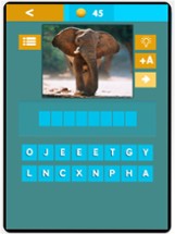 Animals Quiz - Vocabulary Game for kids Image