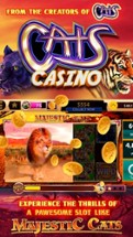 CATS Casino - Real Hit Slots! Image