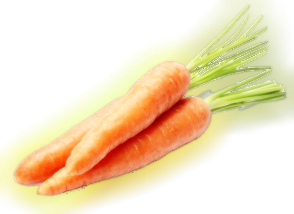 Custom Horse Race Test Project Image