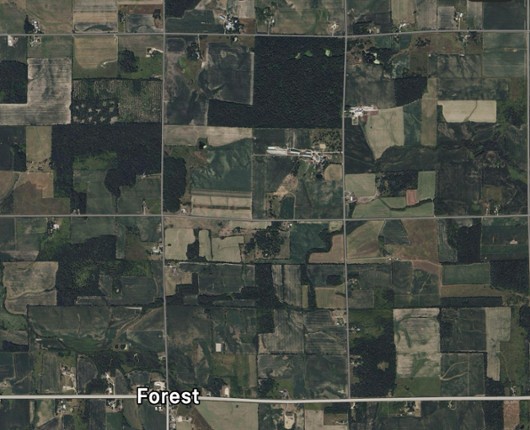 Fs25 Forest Wisconsin Image