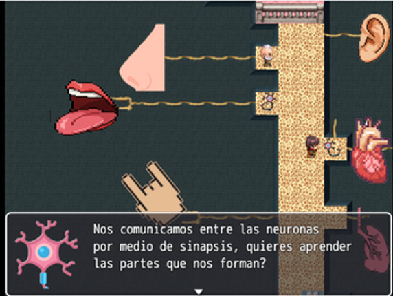 Sistema Nervioso Image