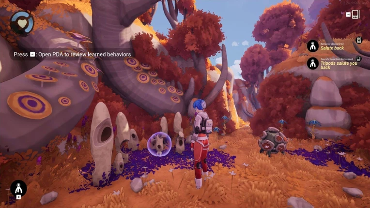 Stranded Image