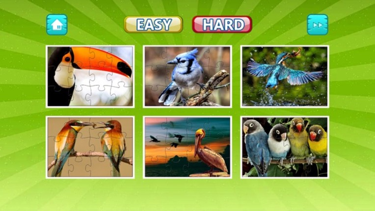 Bird Jigsaw Easy and Hard - Learn Puzzles For Kids Image